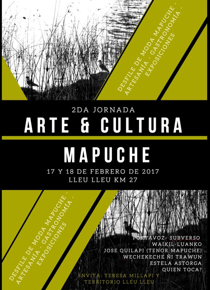 arte y cultura mapuche